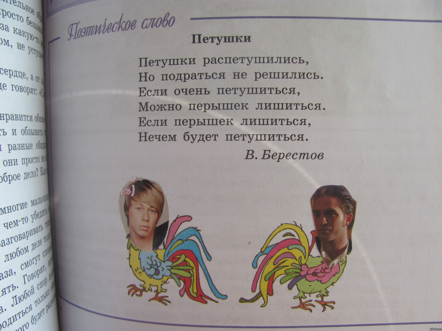 Петушки.