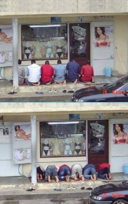 ������ ����� ...