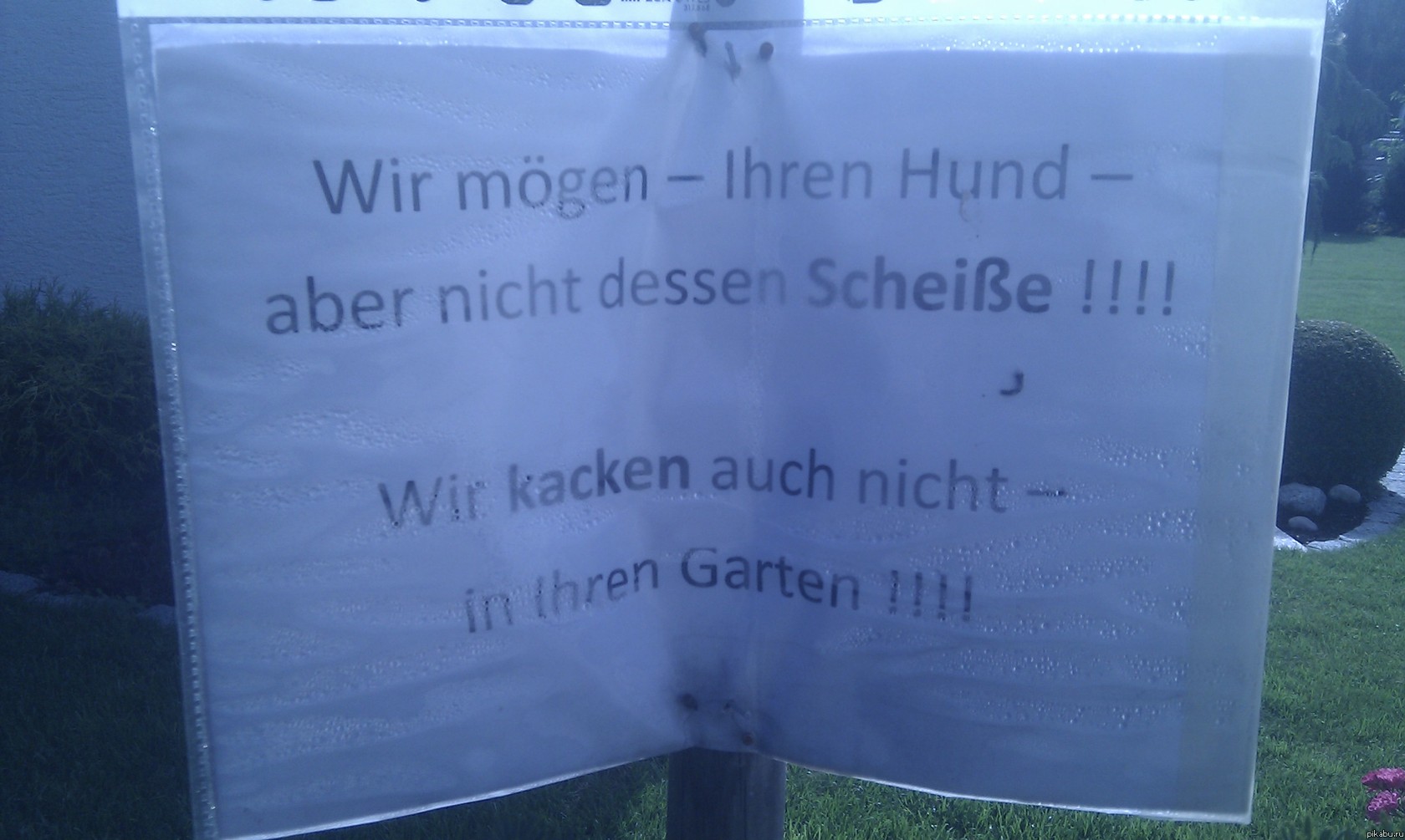   ,  . :   - -     !!!!       !!!!