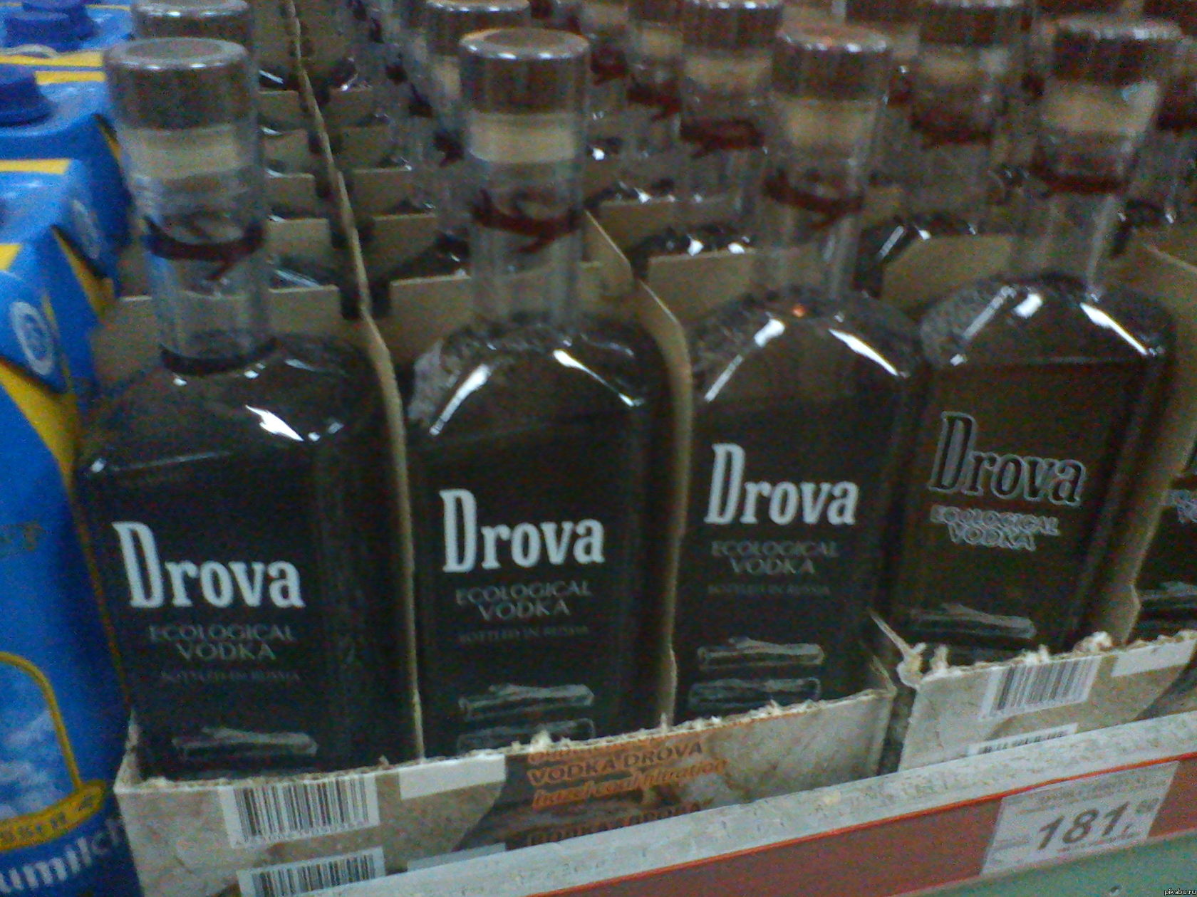 забавные фотографии