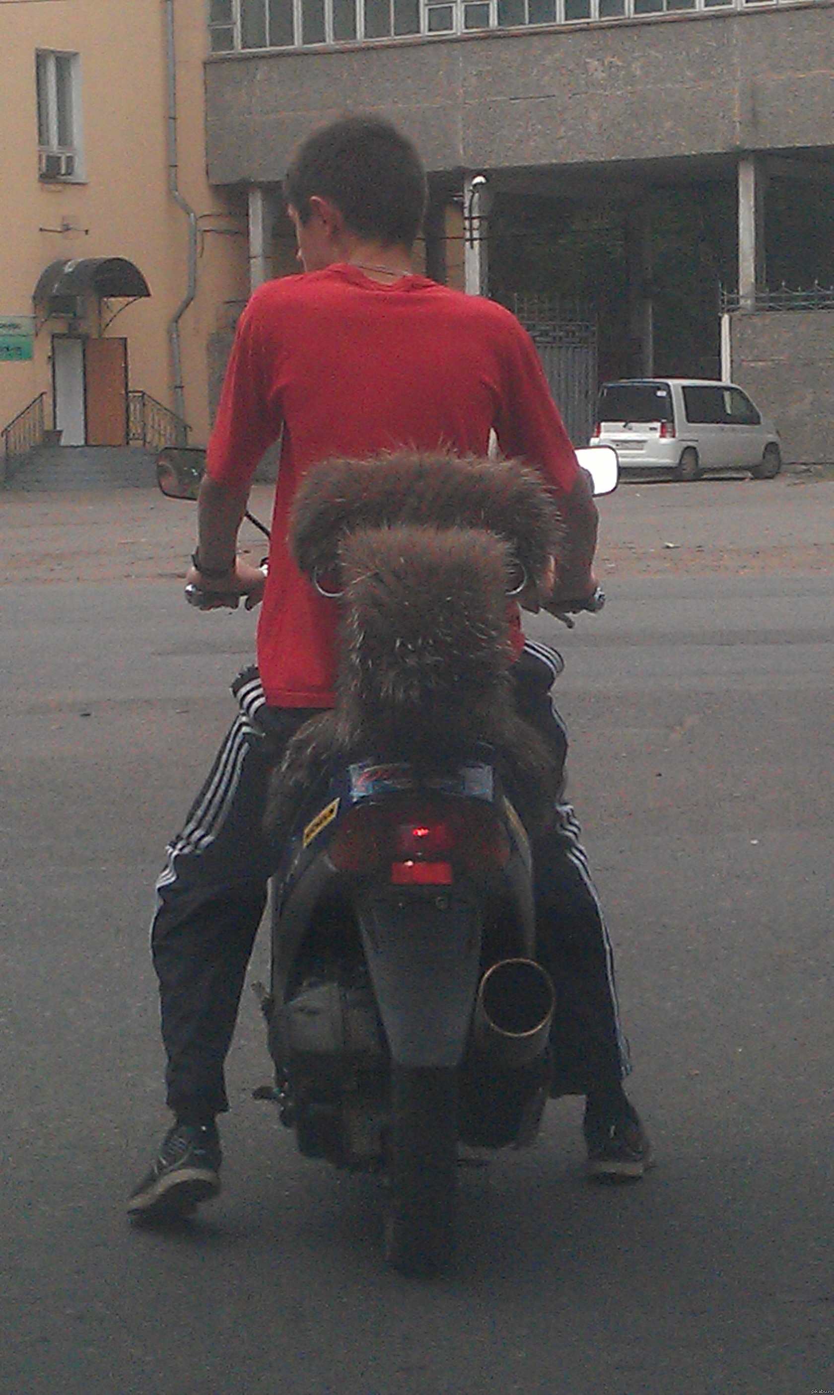 Ехал себе никого не трогал,а тут на тебе...