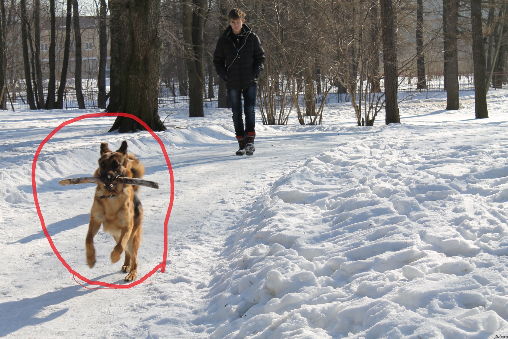 ������ - �������� v 2.0