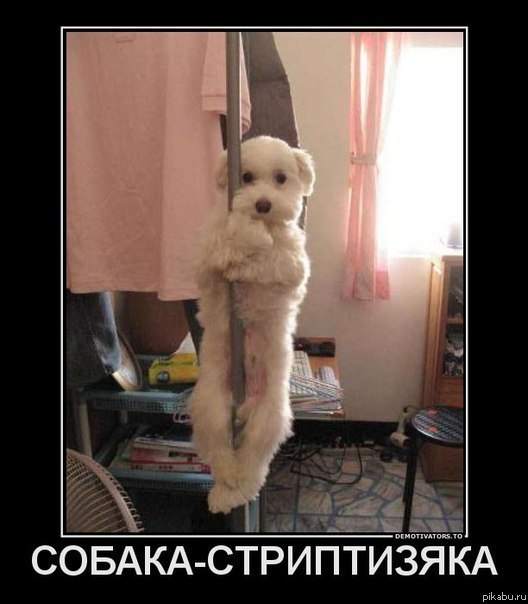 ��� ���� ������ :)))))