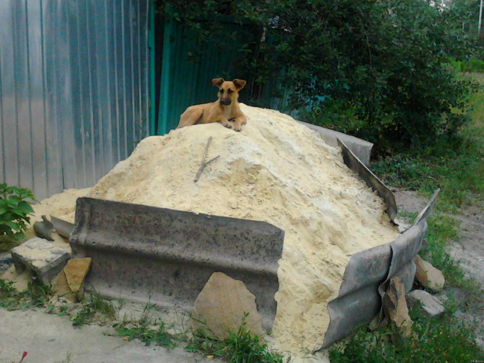 ������ �� �����