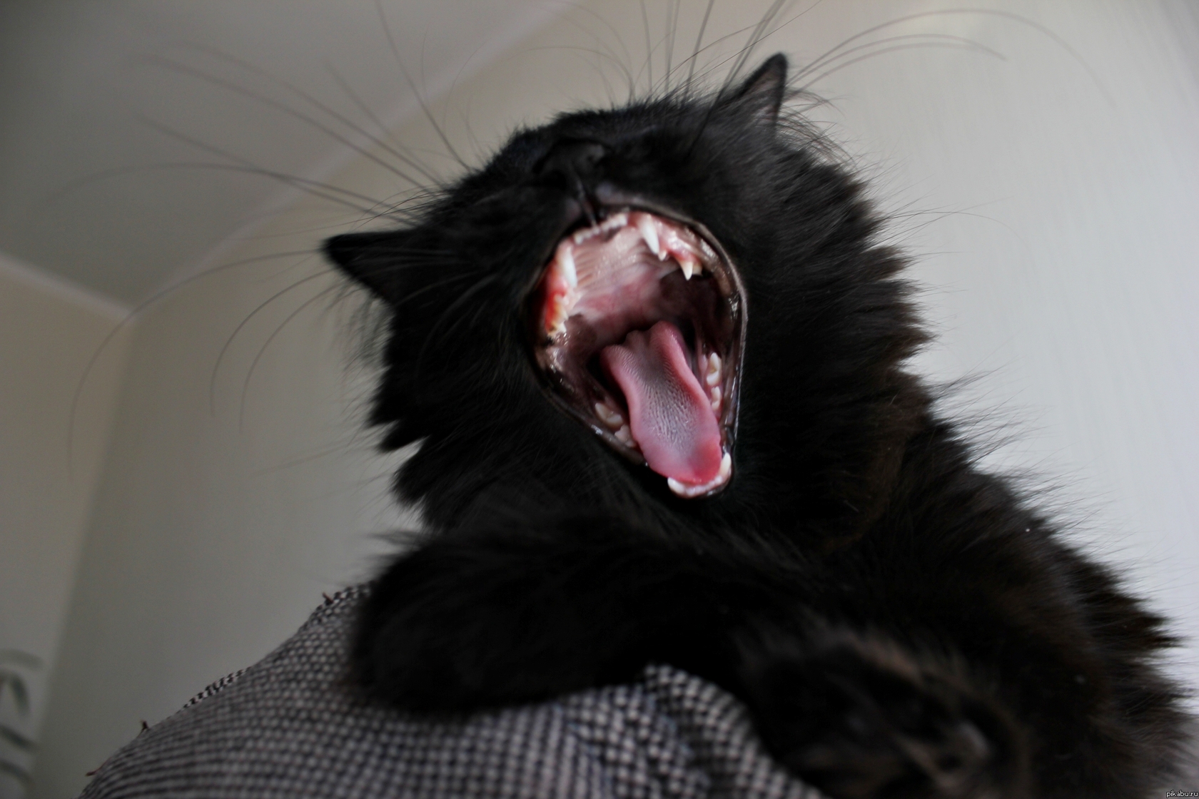 ������...