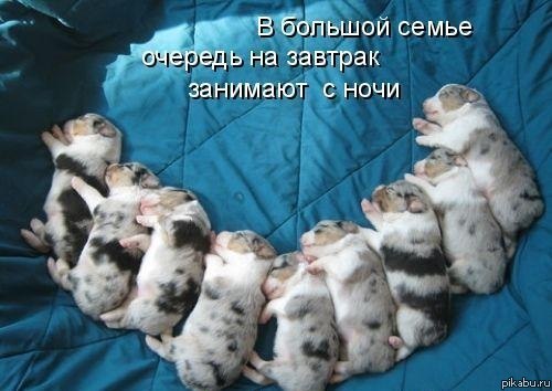 �������.