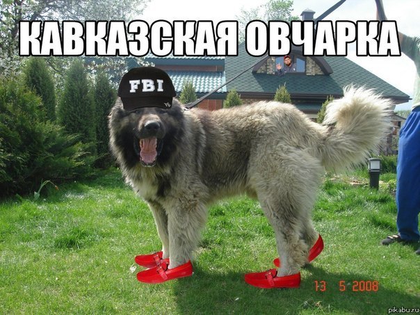 ���������� �������))