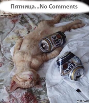 ���� �� �������, � ���� ��������)))