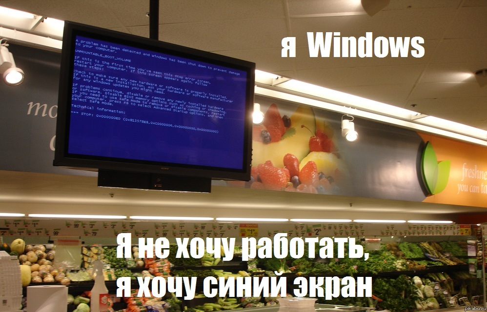  Windows..