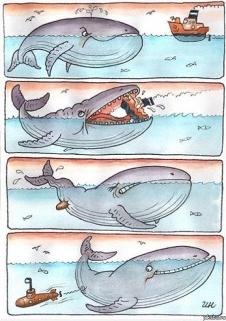 Кит-изобретатель)