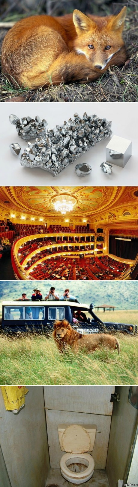 Угадай где какой браузер...