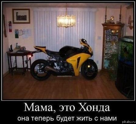 ������ ����� ���� � ����...