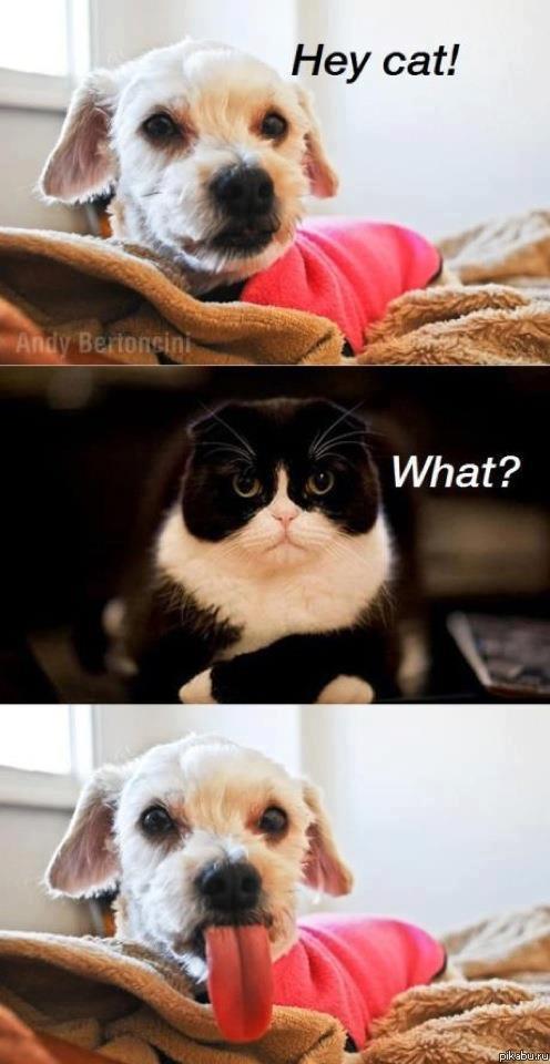 -Эй, Котэ!!