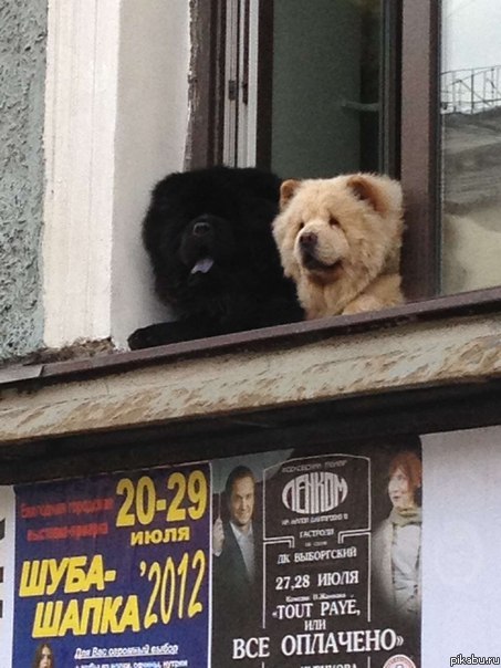 ����-�����