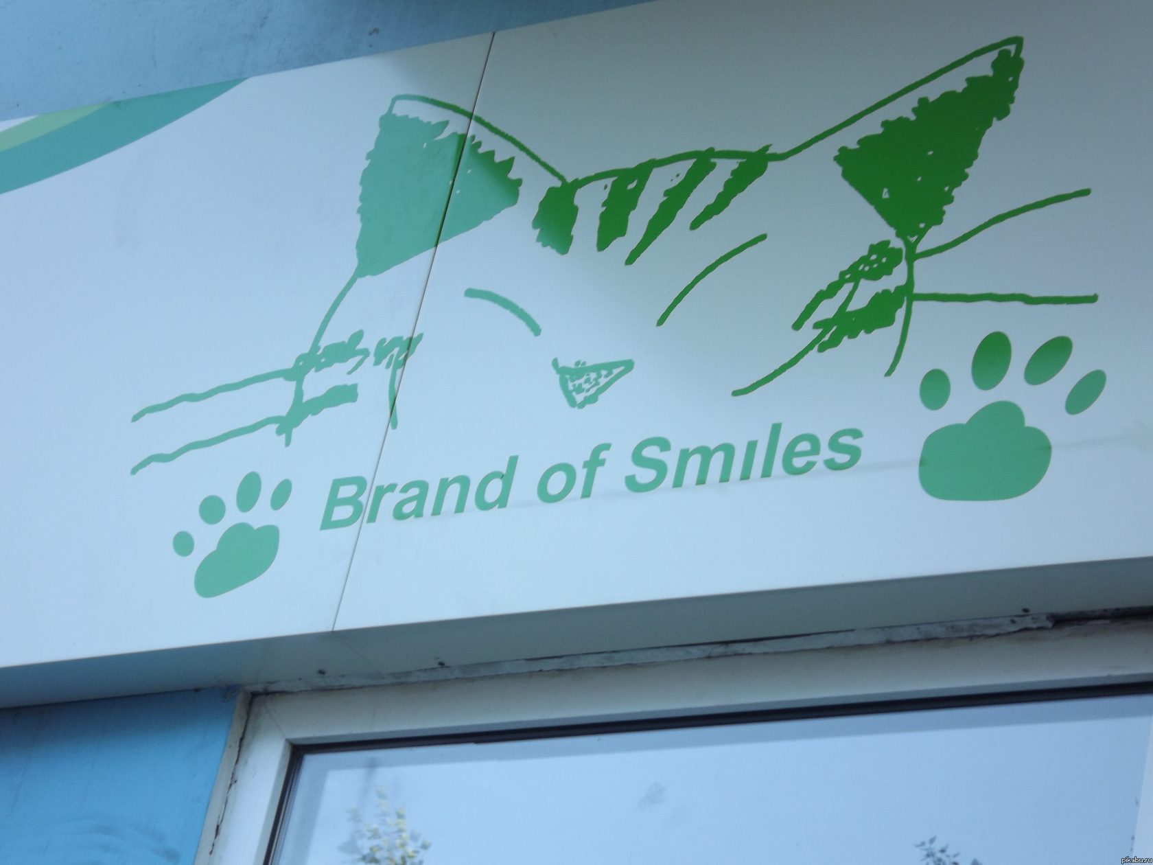 Лучей кота всем)))