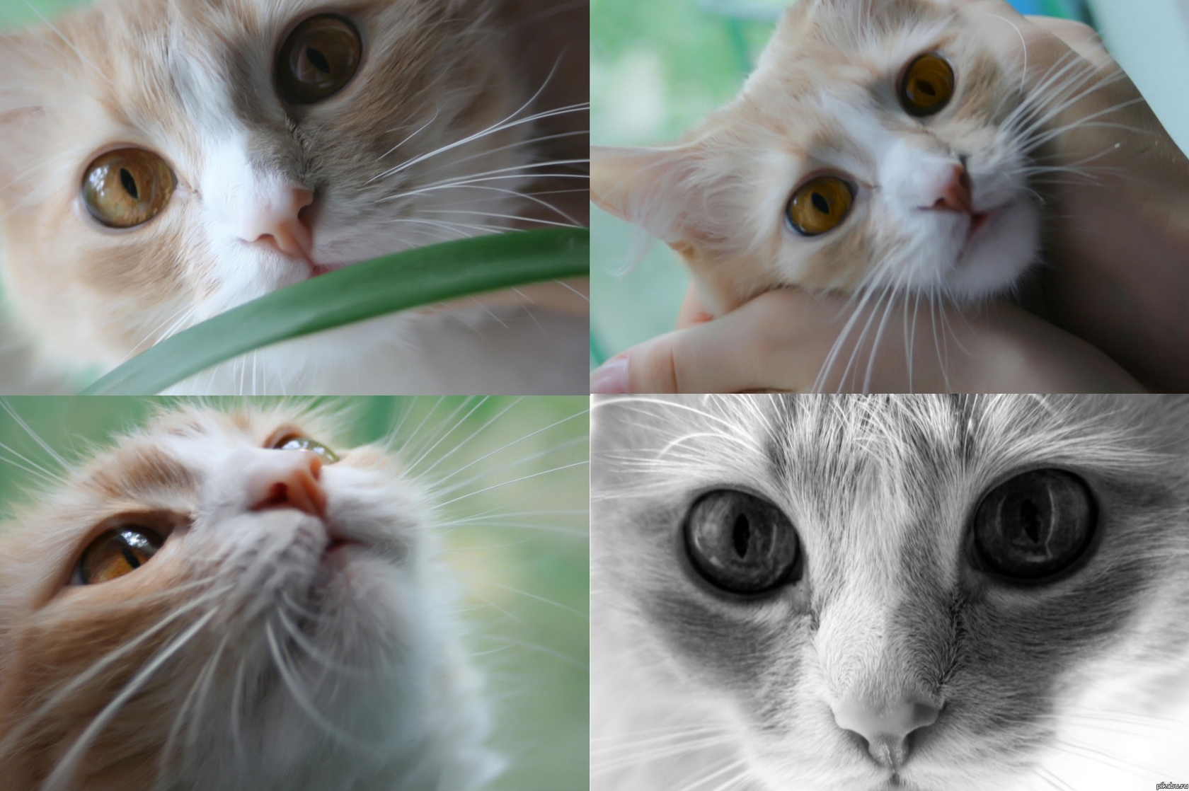 Моя чудила)))))