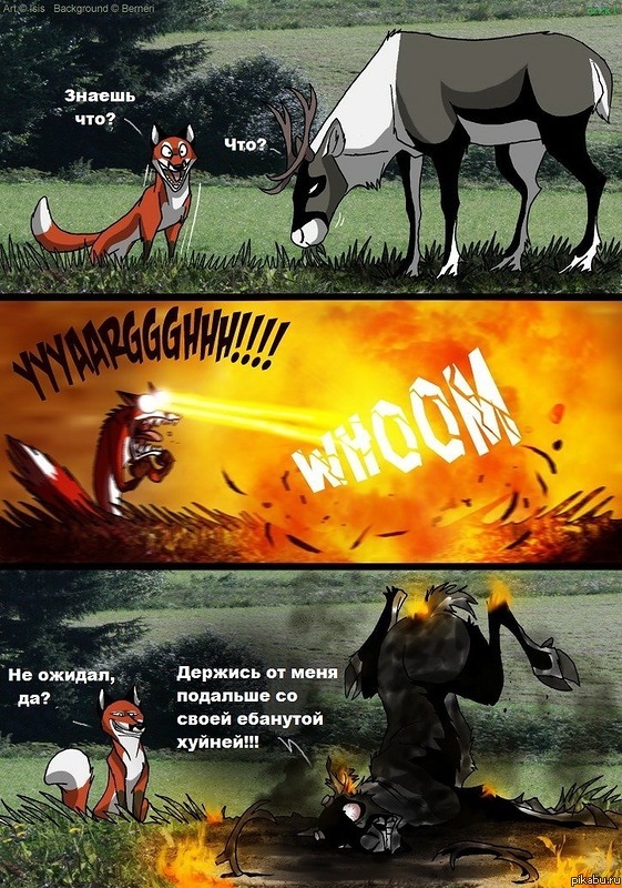 ���� FireFox