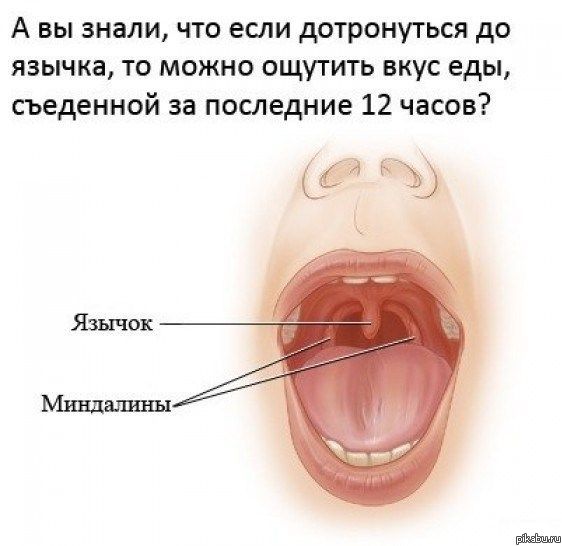 � ���� ������...