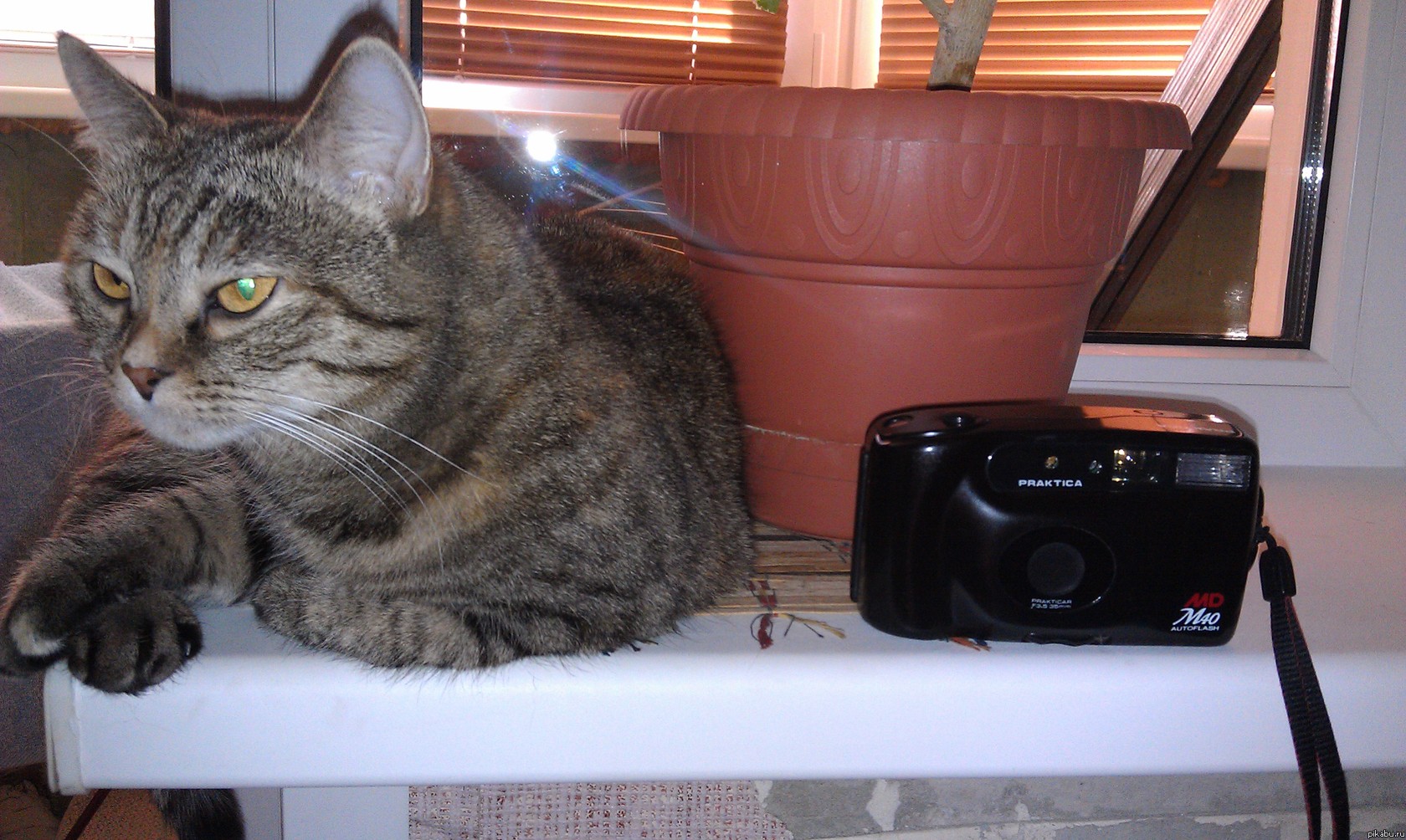 ������� �� ������