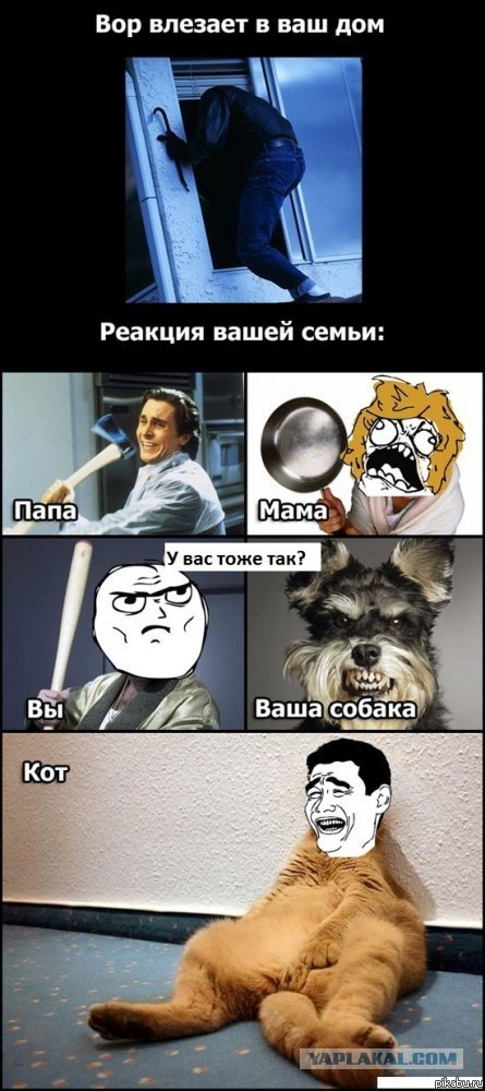 у вас тоже так?)))