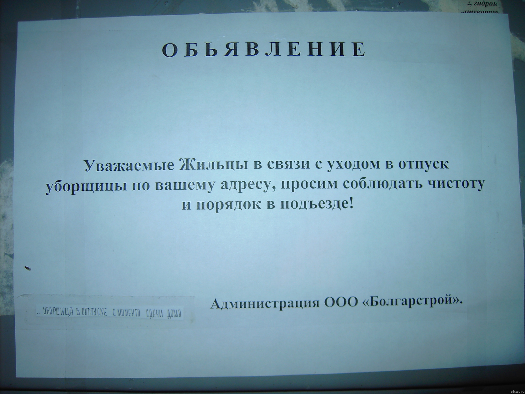 весёлые жильцы моего подъезда | Пикабу