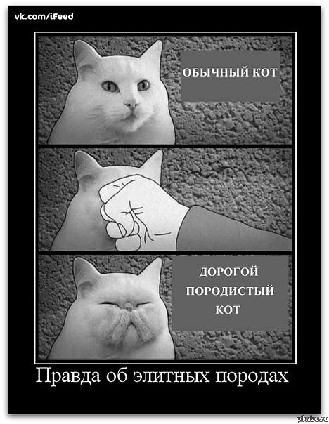 ��� ������ �� ������� ������� �����
