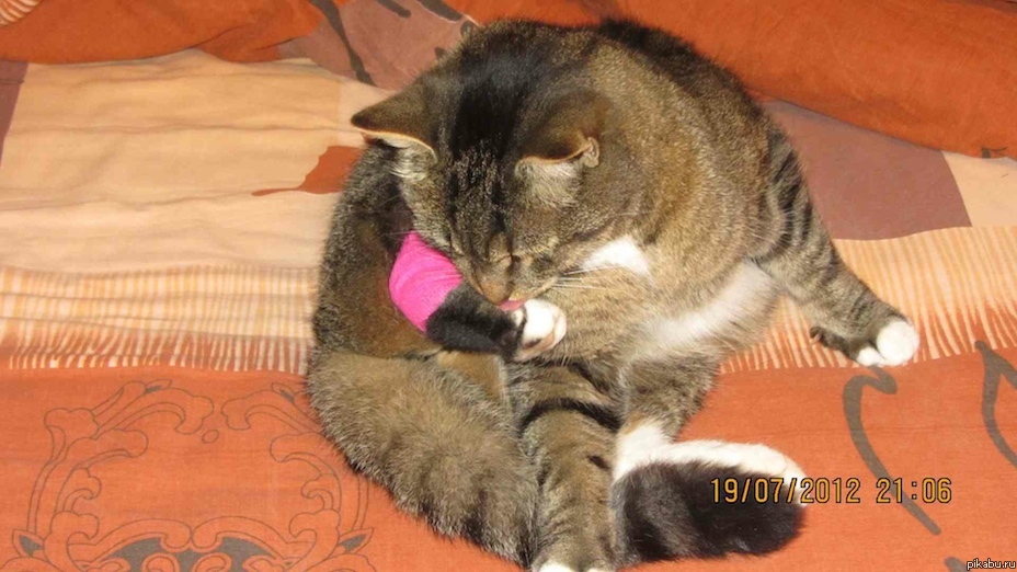 Раненый боец