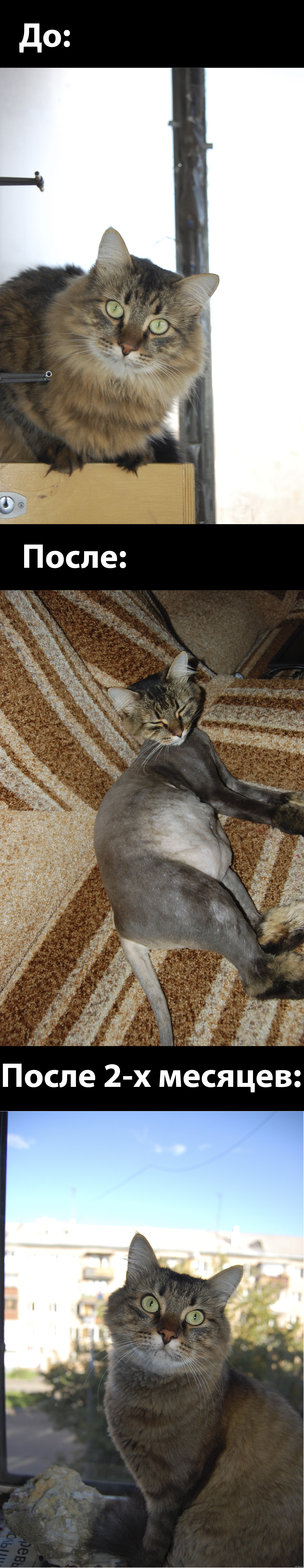 ��� ��������� ���. (�� ����� ����������)