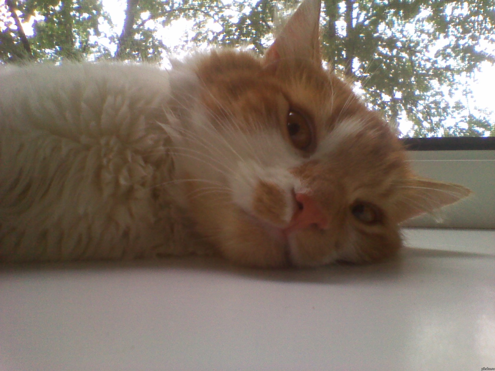 ������� �� � ���� ����, ��...