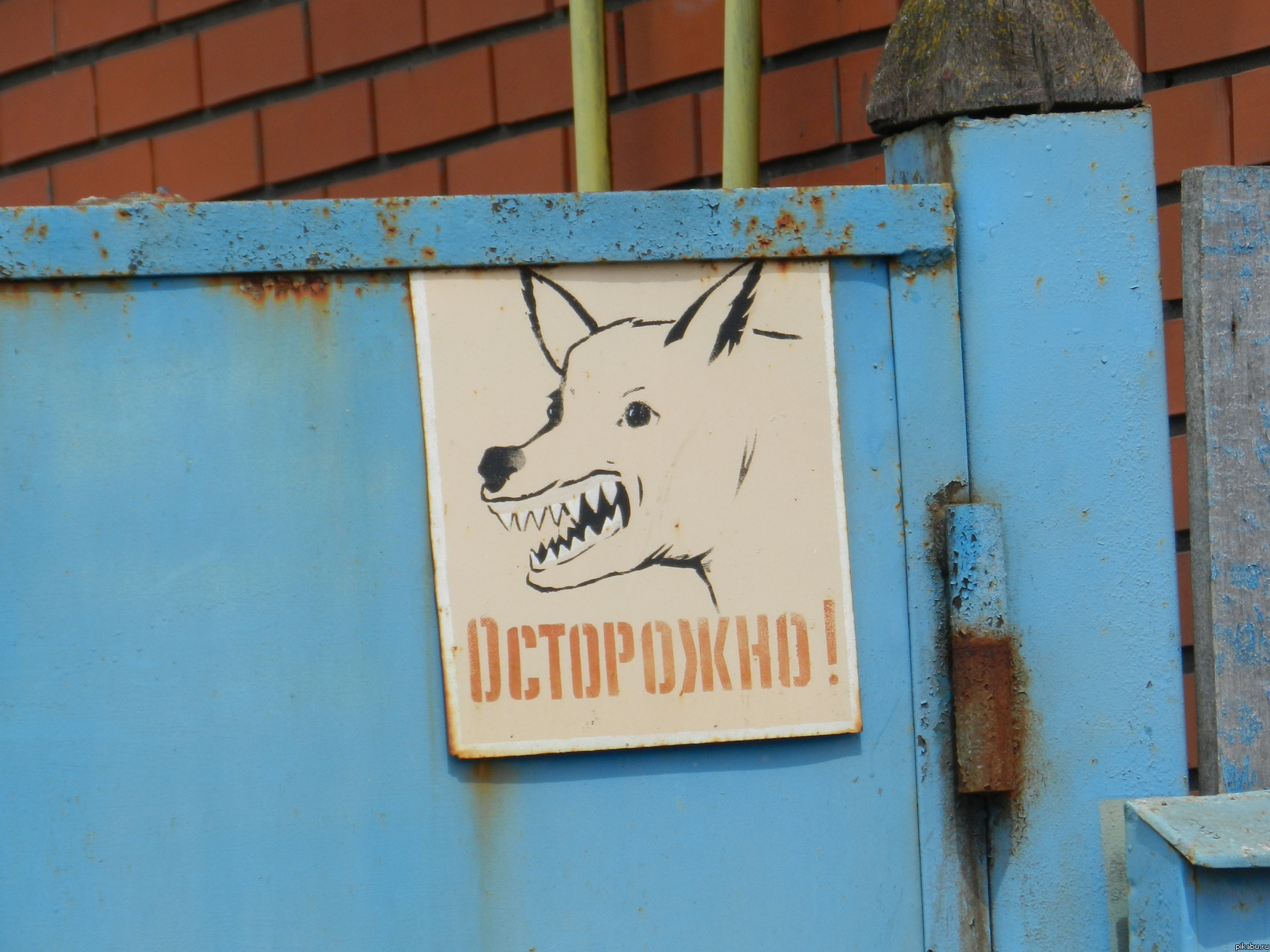 ��������� !!!)