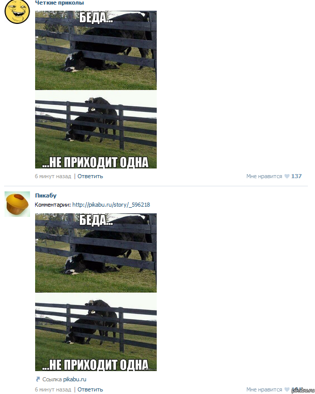 Главное - пунктуальность. Крадут с Пикабу... моментально.