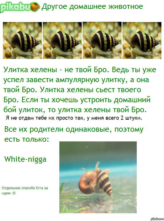 �� ���� ���