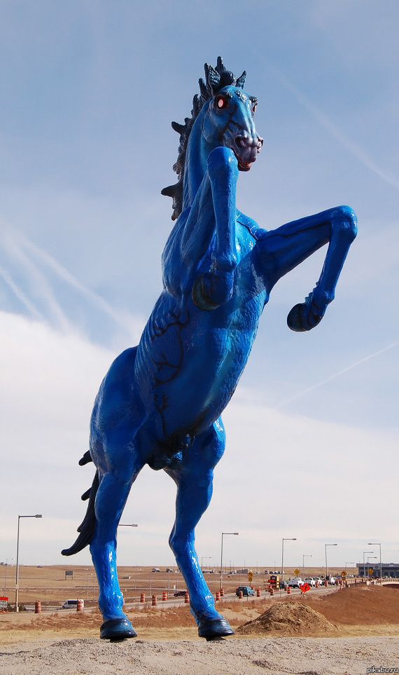 Ужасный конь!