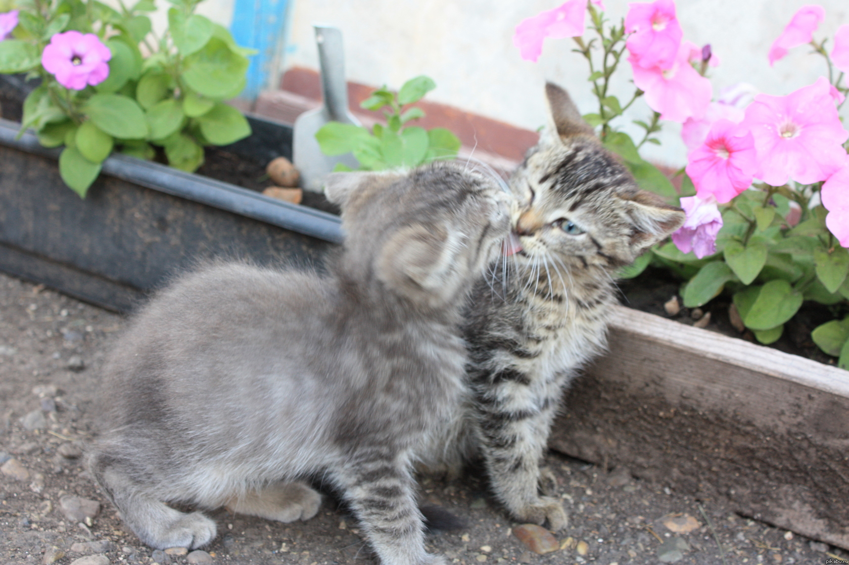 ����� ����������!