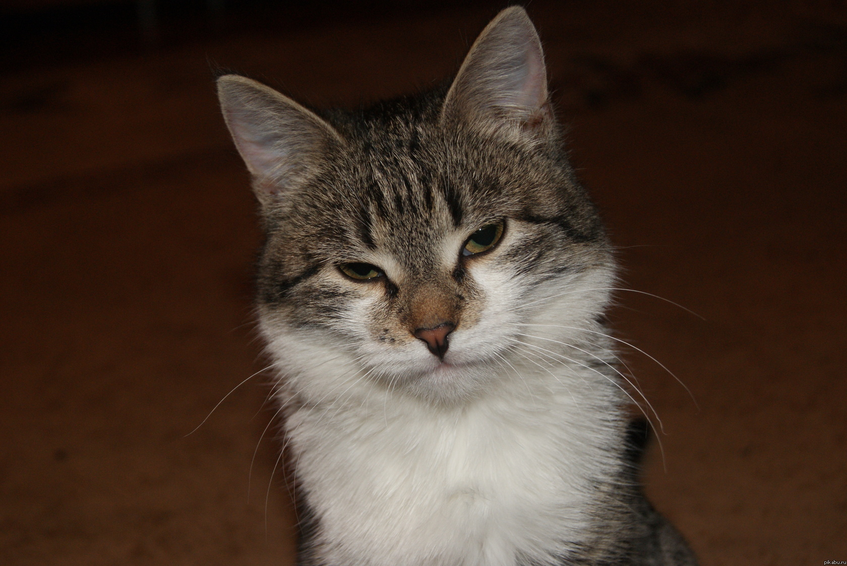 Соблаговаляю!