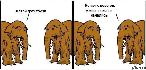 ��� ��� ������� �������.