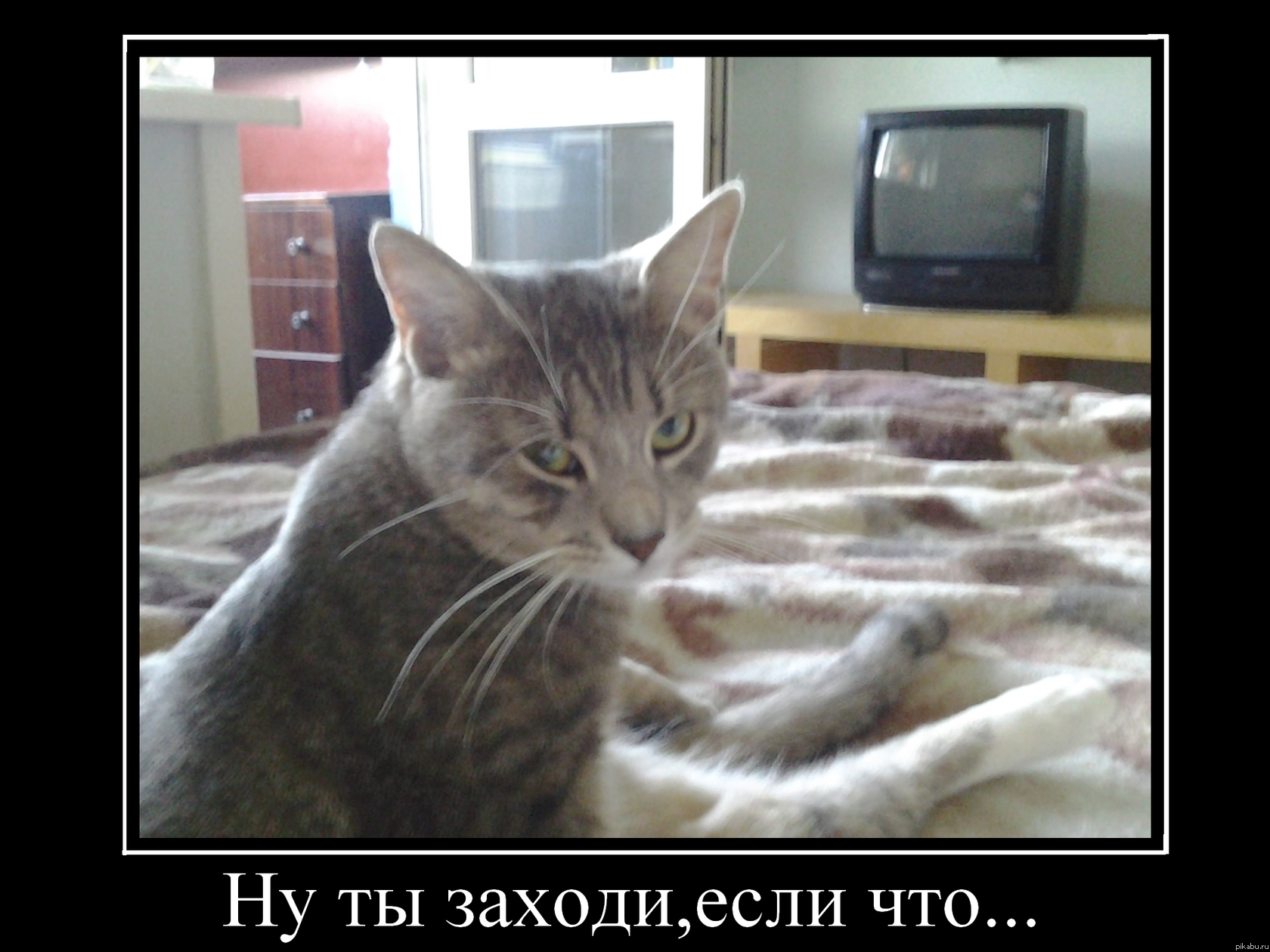 Сходство есть;)