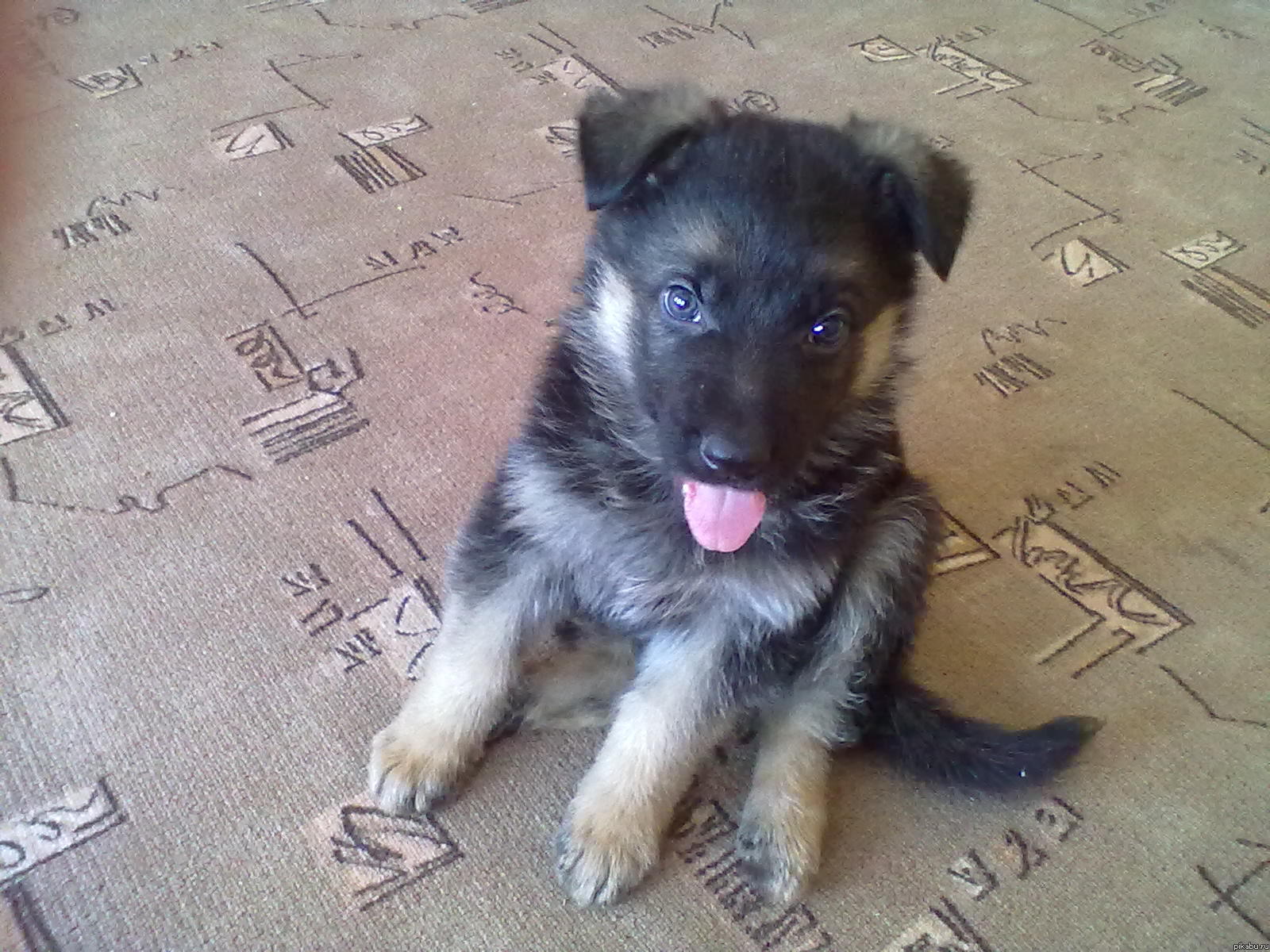  )))  .   P.S.  ,  ...