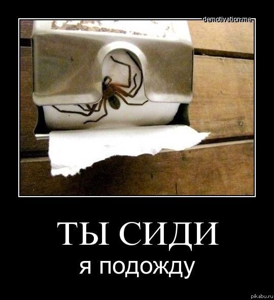 ТЫ СИДИ, я подожду