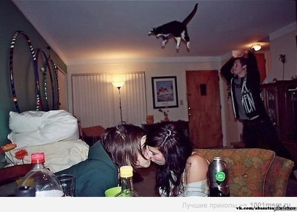 У них Там Своя Атмосфера