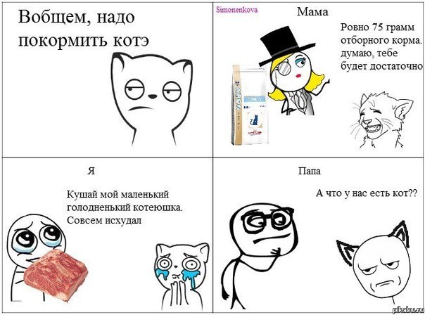 ����� ������� ����