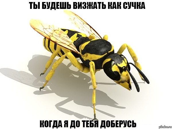 �� ������ ������� ��� �����...