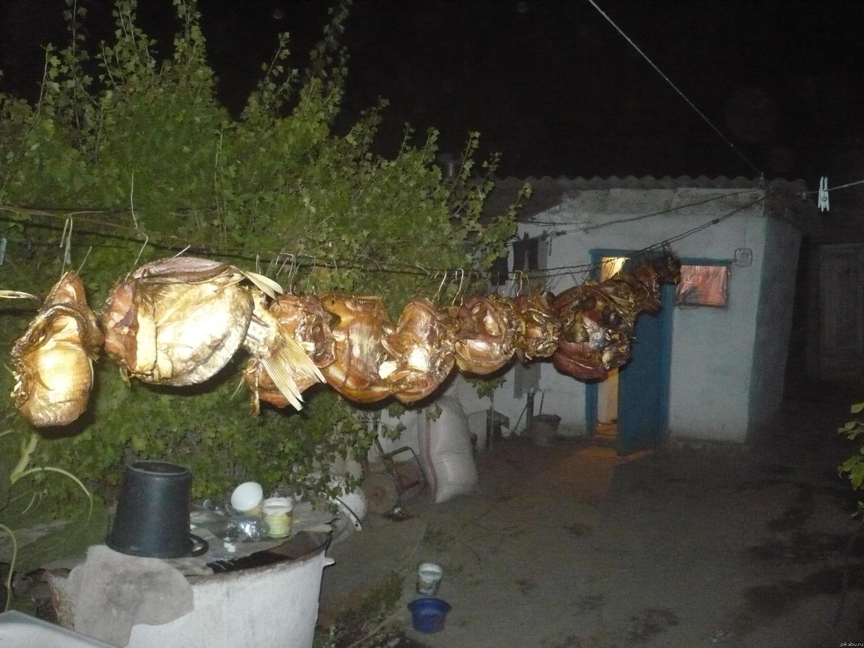 Как я провёл лето )