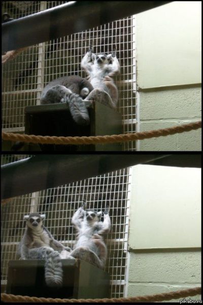 ���������, ��� ���� �� ��� ������!