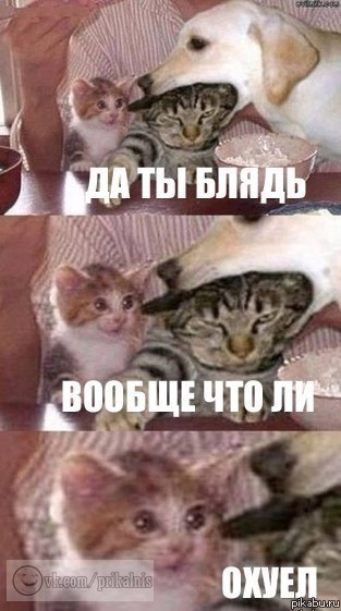 ���������)