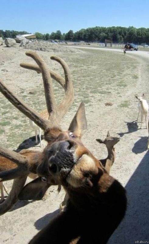 ��������...