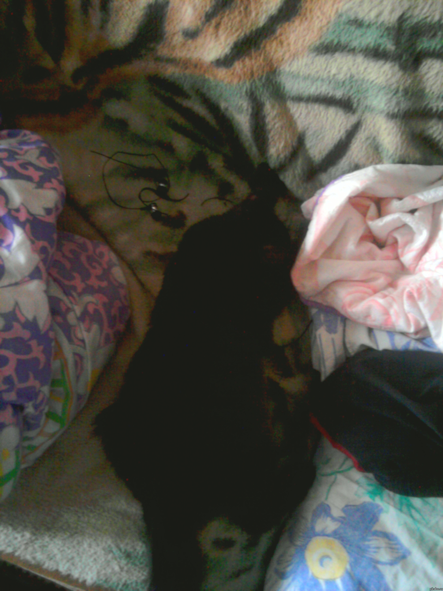 ���� �������� ������, ����� ��������� � ����, � ���� ��� ������� ���� ������� ��������� ��������. ������!