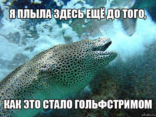 ��������� ������