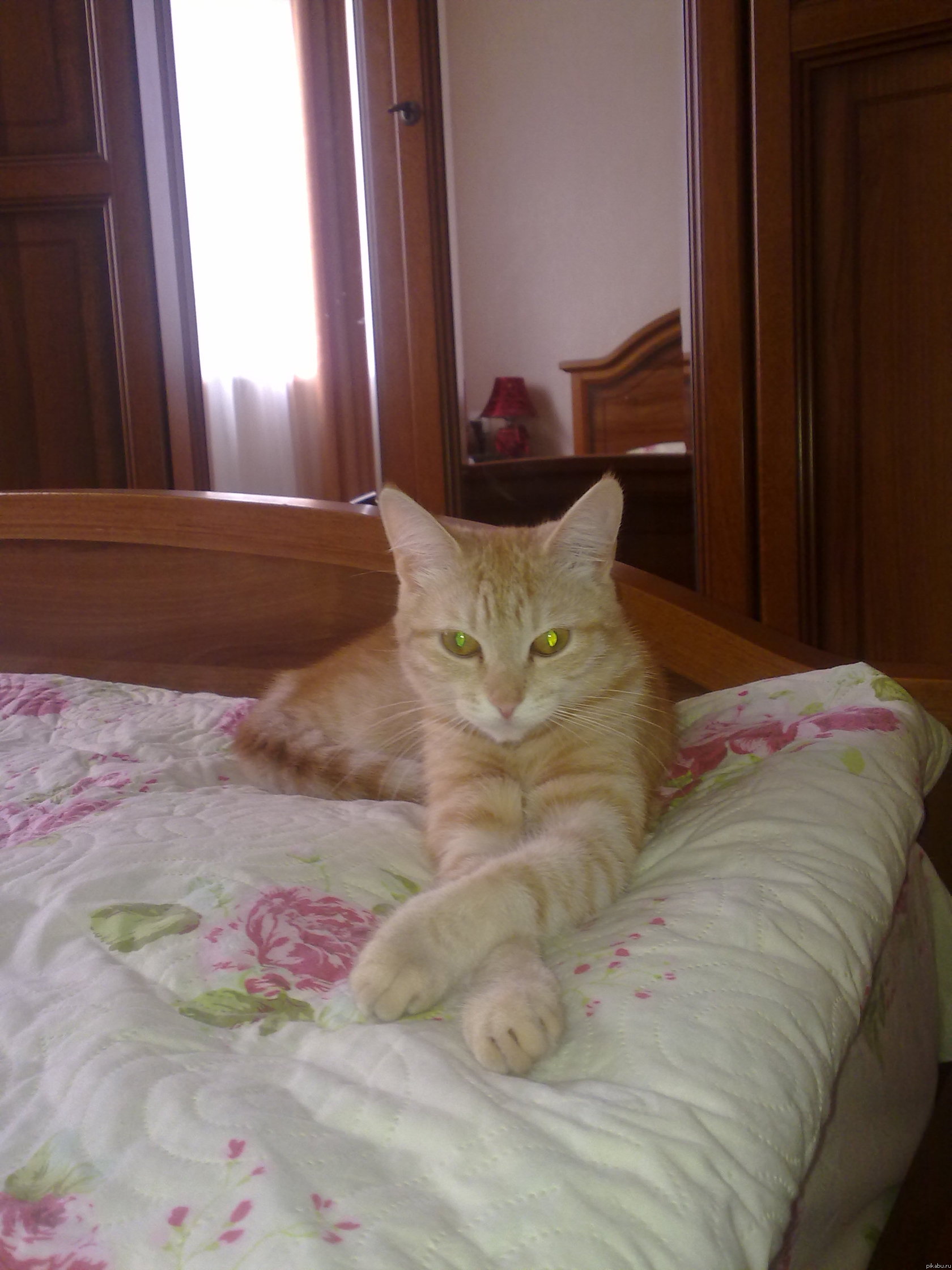 �����-������