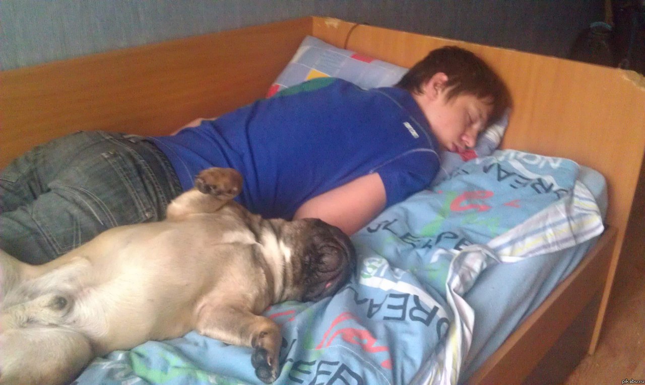 � ��� �� ����� �� ������ ���������?